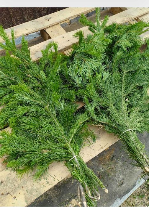 Продам масло.. Пихтовое для бани Сауны