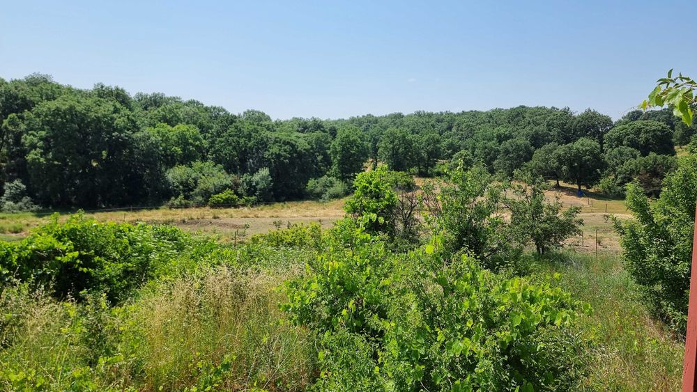 ПАРЦЕЛ В МЕСТНОСТ Габера Димитровград