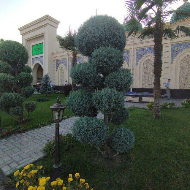 Archalar dekarativni daraxlar mevali daraxlar