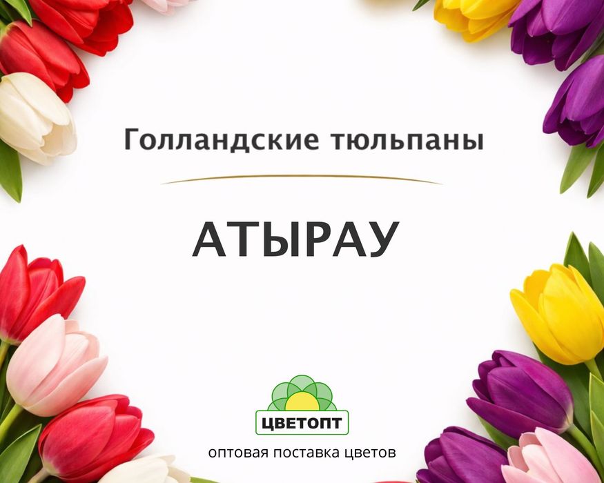 Тюльпаны оптом Атырау