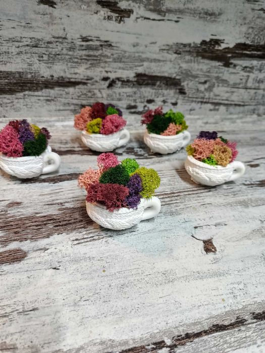 Гипсови чашки със скандинавски мъх