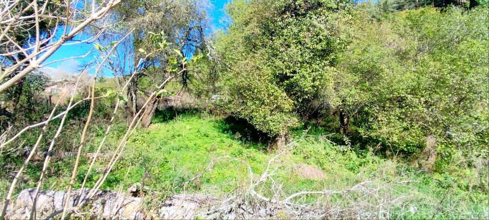 Продава се Парцел в с. Чуйпетлово, Област Перник - 620 кв.м за 103 €/кв.м - Снимка #7