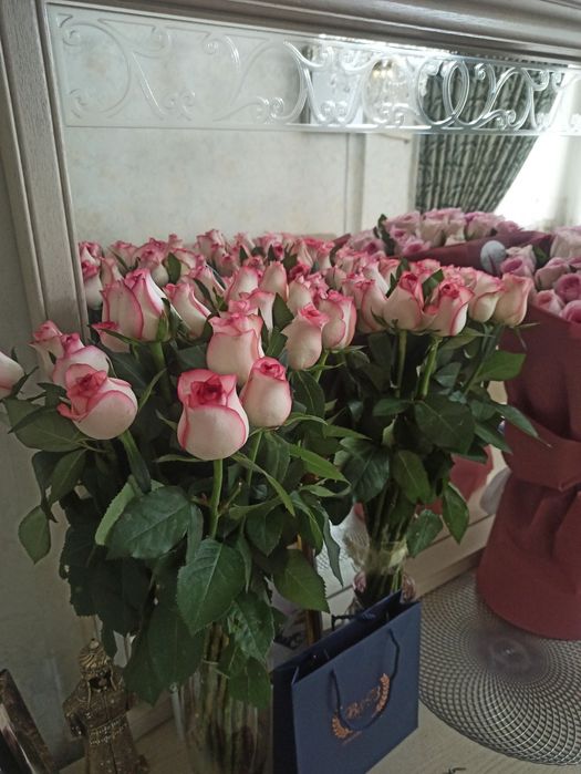 Продам цветы,  нежные красивые,  дешево