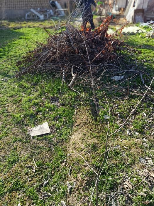 Òtin sotiladi suratdagi hamasi