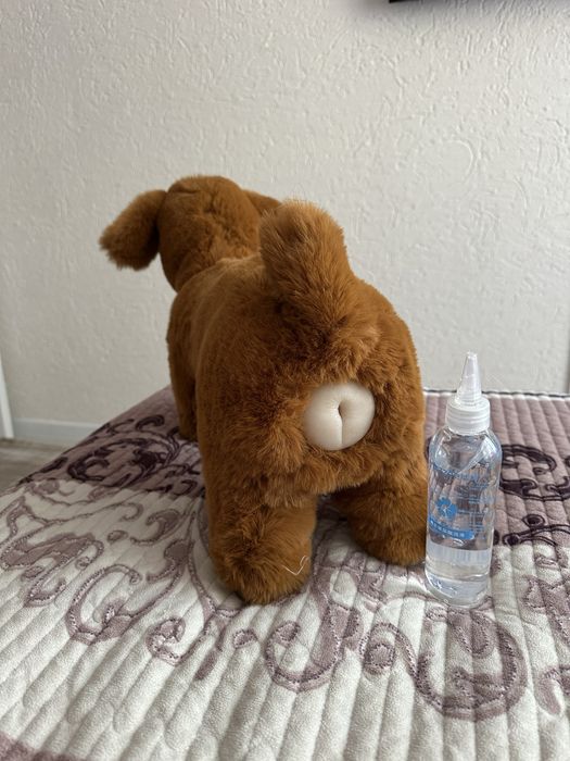 Собача счастья для вашего любимца