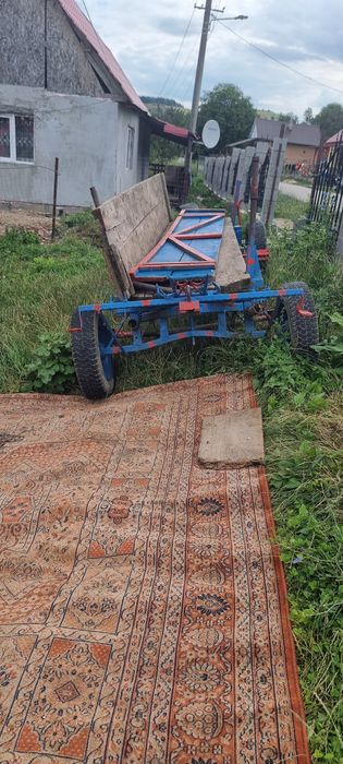 De vânzare iapa cu manz
