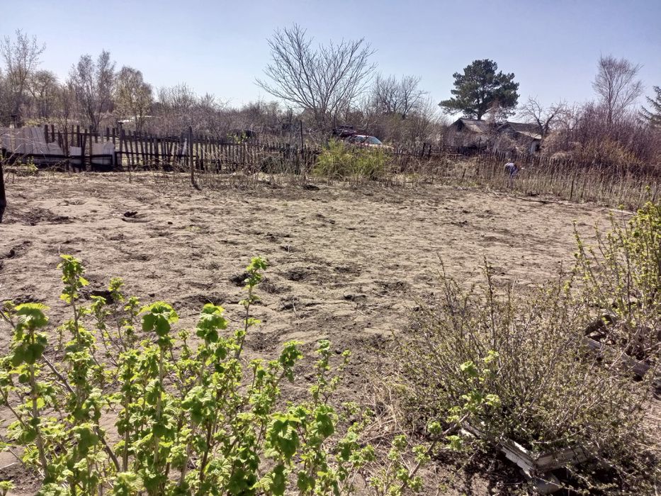 Дачный участок с домиком