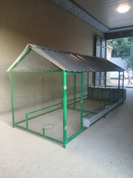 Tovuq katak zakazga