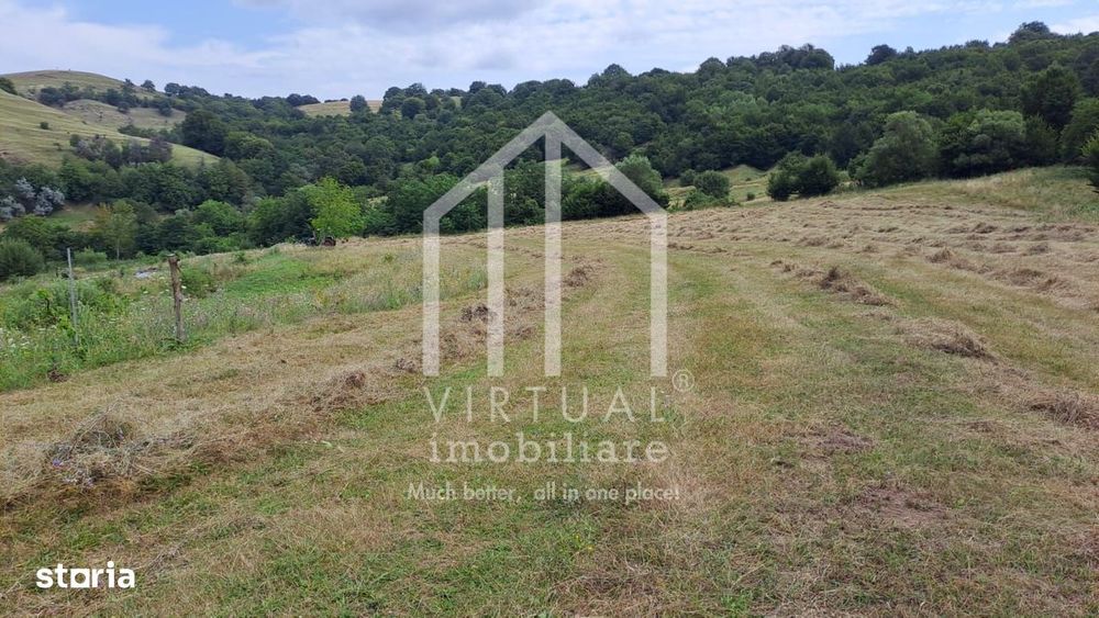 Teren extravilan de vanzare 15,600 mp zona loc... Hamba