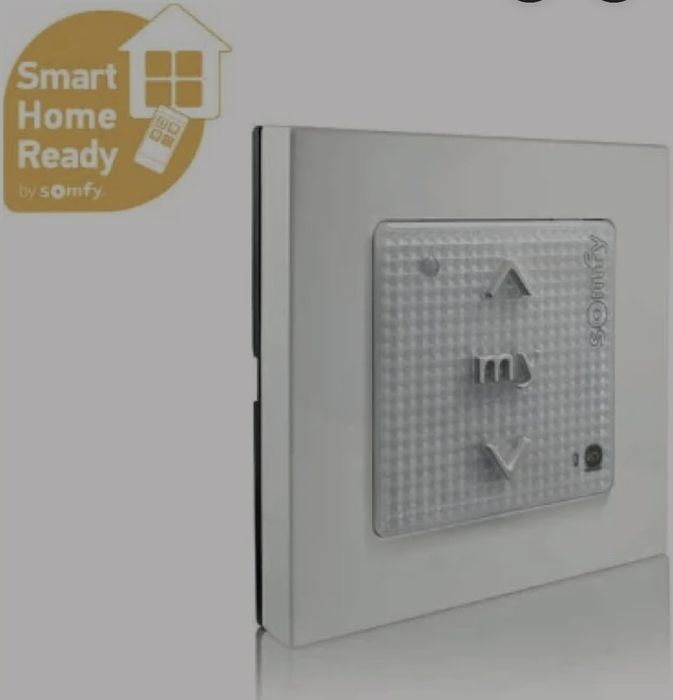 Somfy Smoove Original 1811066