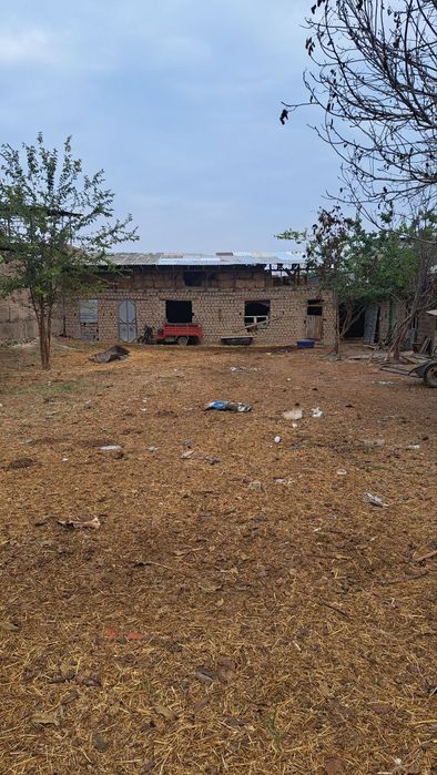 Srochna sotiladi juda tezlikda pul zaril! Nzarbekda Turkistnda 8 sotik