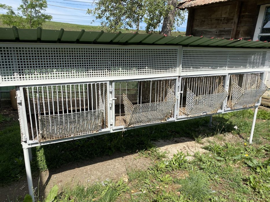 Vând cușca pentru iepuri