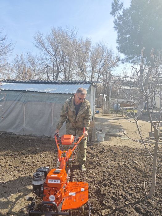 Обработка растений* ёлок плодовых деревьев кустарников и газона