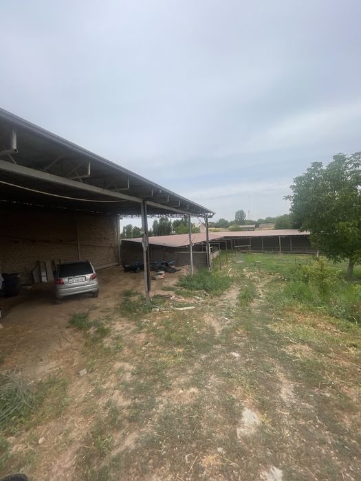 Ferma, Dalla, Dacha 70 sotih