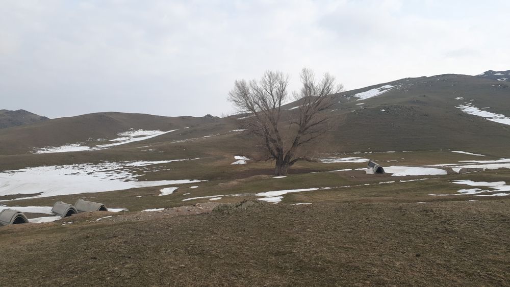 Фазенда сатылады