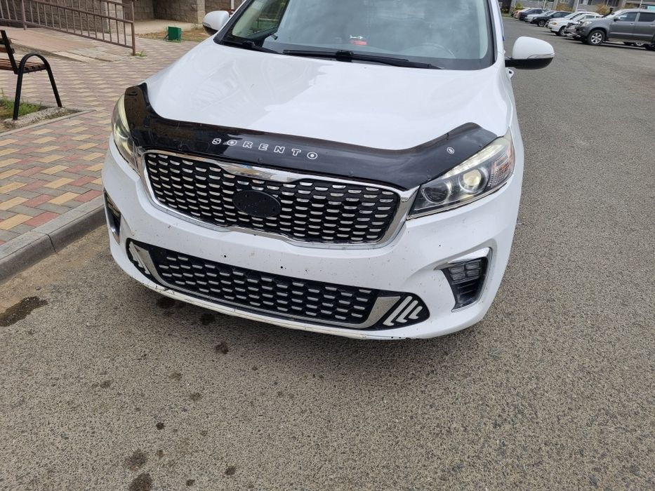 Кулик сатылады  ср