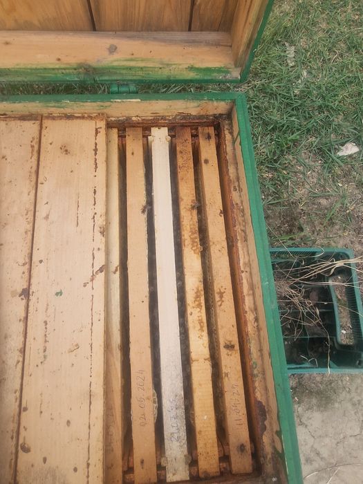 Familii de albine cu ladă dublă