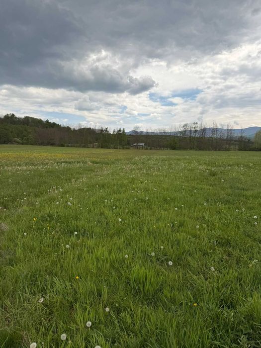 Vand teren extravilan Sinca Veche