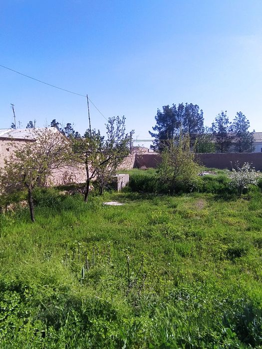 YER SOTILADI Qashqadaryo viloyati QOZIKENTI QiSHlogi