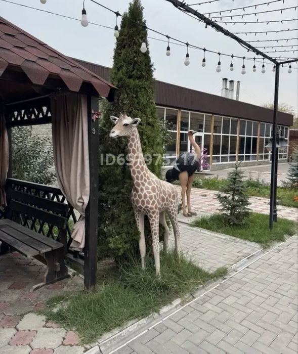Сдам в аренду под общепит