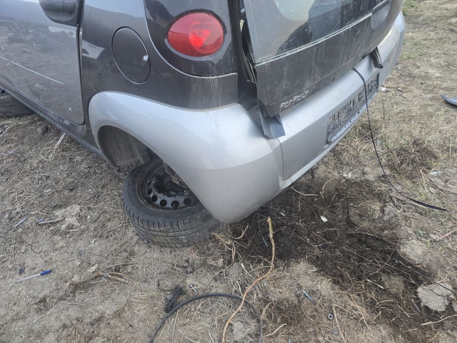 Aripi bari smart forfour