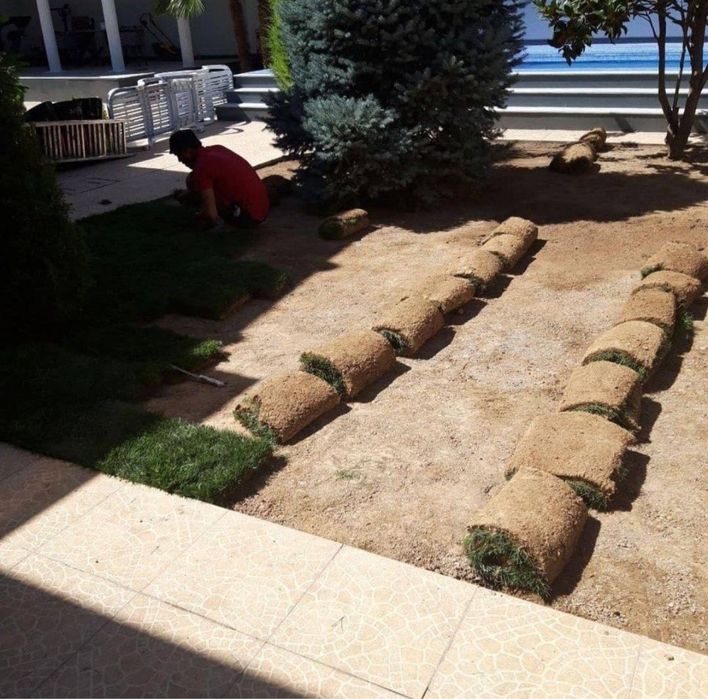 Газон разних видоф