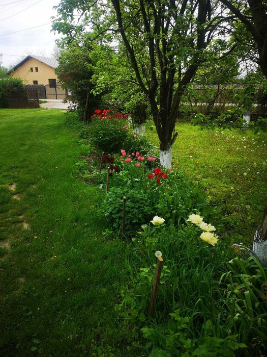 Casa de vanzare Puchenii Mari