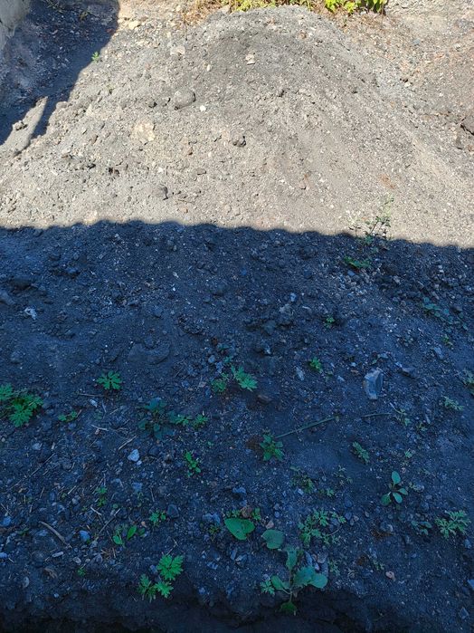 Отдам даром шлак, золу. СРОЧНО!!!