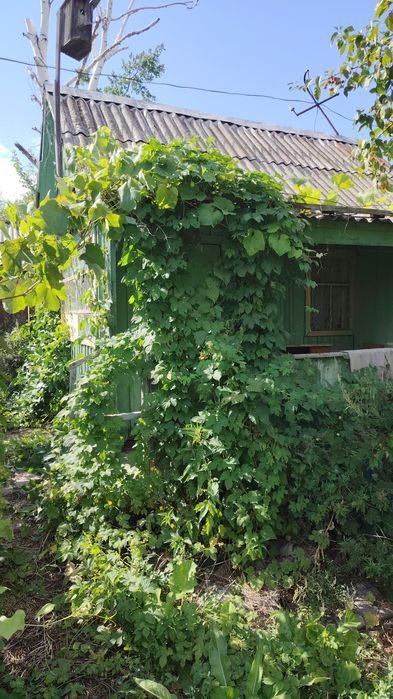 Продам дачу в Бухтарме