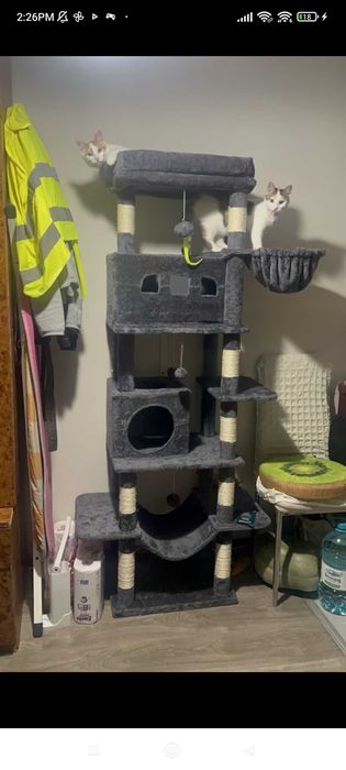 Катерушка за котки