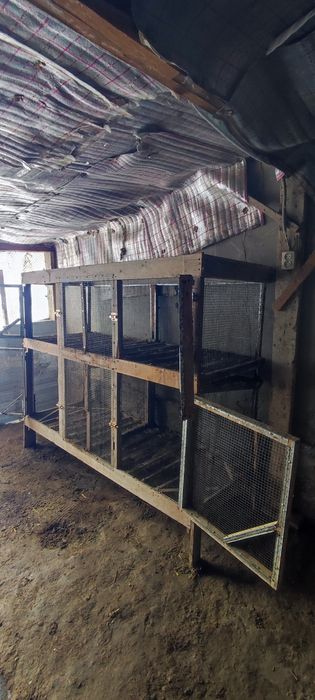 Товук куйон жужалар учун катак