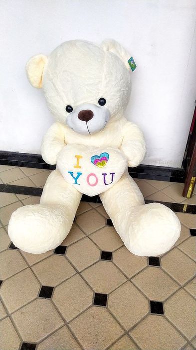 Teddy va boshqa yumshoq oʻyinchoqlar arginal