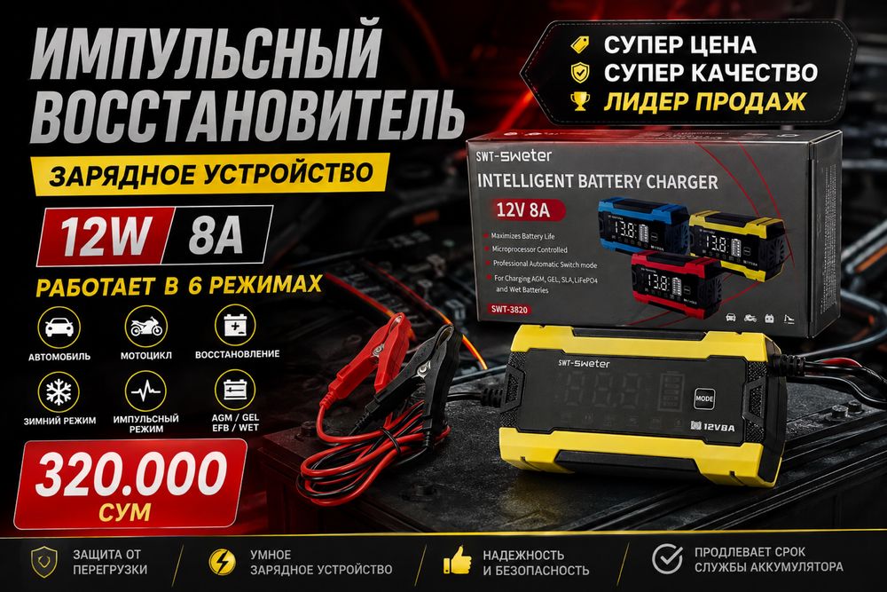 Teyes by Зарядное устройство для аккумулятора  12W 8A