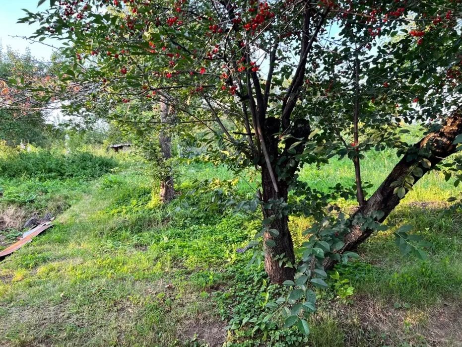 Продам дачу 6 соток
