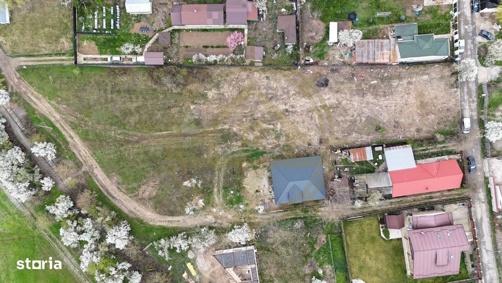 Dom00452 - teren snagov 3560 toate utilitatile acces asfalt (se poate