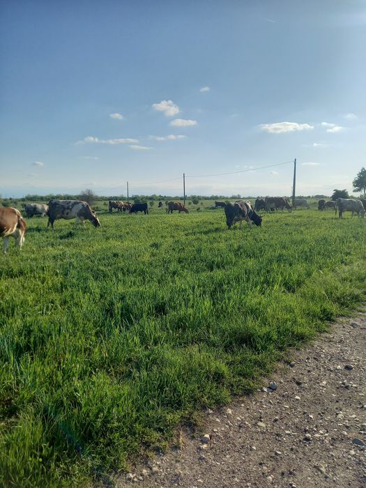 Продава ферма / Замеделски имот..