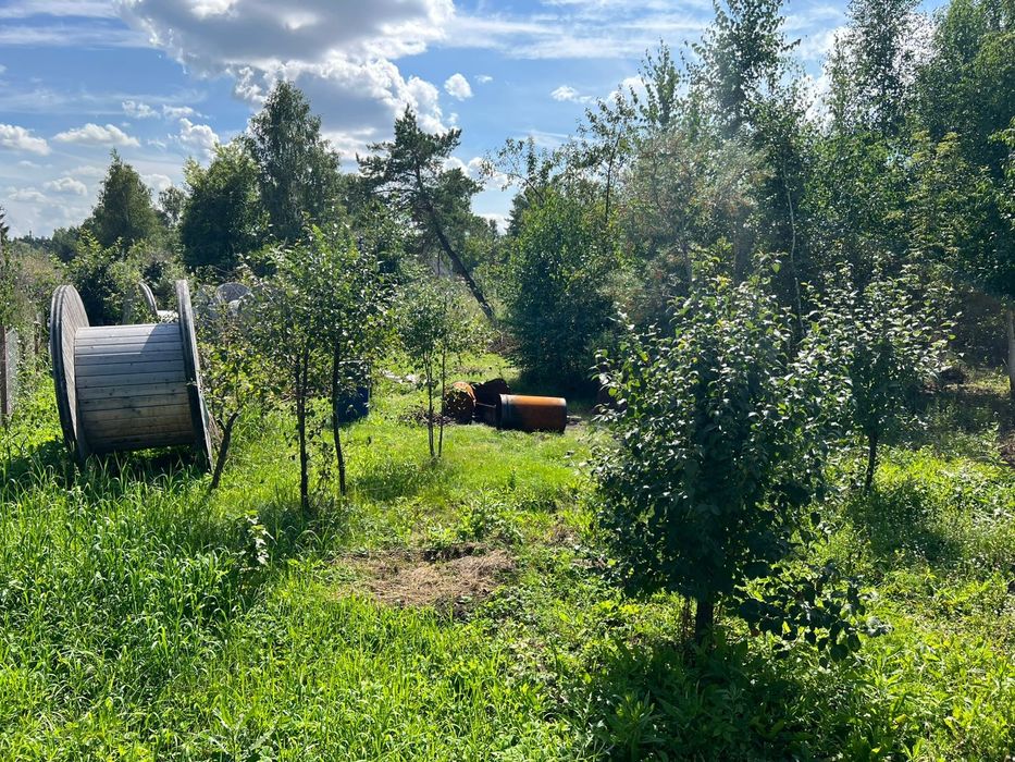 Дача, общество Веснянка