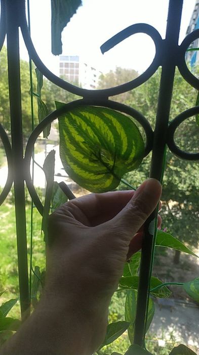 Искусственные листья зелень для декора