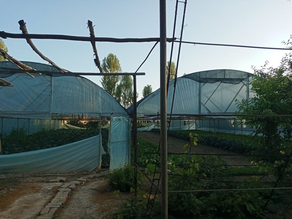 Срочно 13,5 сотих 8 хонали уй сотилади.