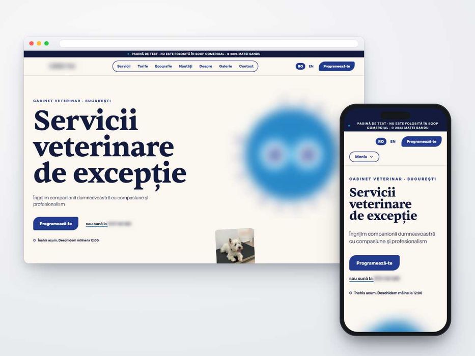 Creare site web firme, magazin online, SEO și Google Business Profile