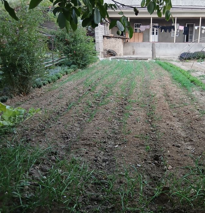 Toshkent tumani Xasanboy postdan o'tganda 3 sotix yer sotiladi