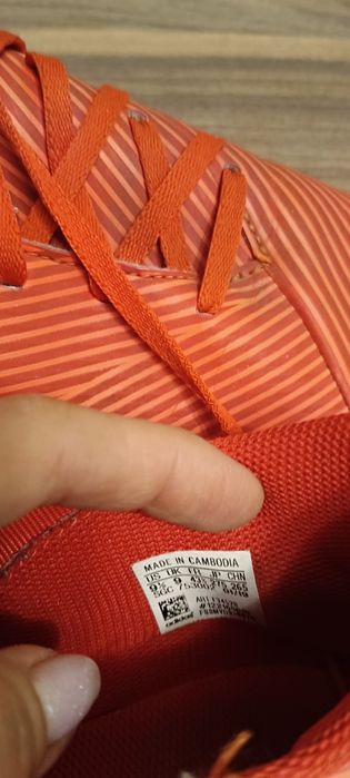 Сороконожки в идеальном состоянии