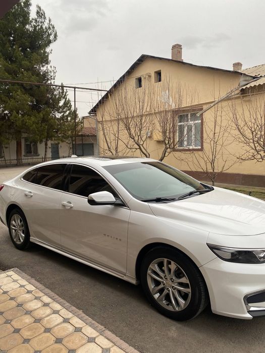 Kiraska toza.  prabeg 165 km. prapan. Pulti bor. Yili 2018 .