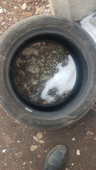 Покрышка  машинаға сатылады