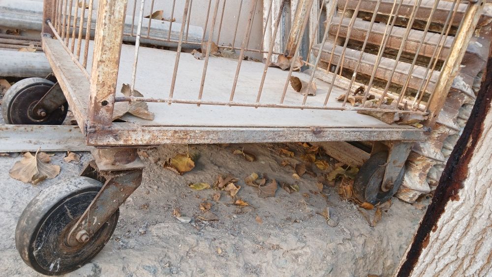 Arava sotiladi , telashka