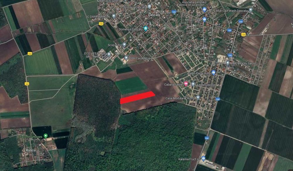 Teren intravilan 13.500mp Dascalu Padure Runcu