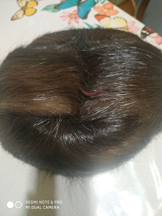 Шапка из нутрии натуральная