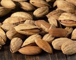 Самые лучшие растения цветы фруктовые деревья декоративные кустарники