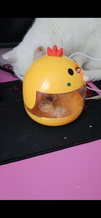 Продам инкубатор