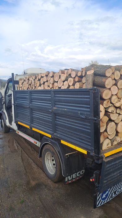 Lemn de foc FAG/STEJAR